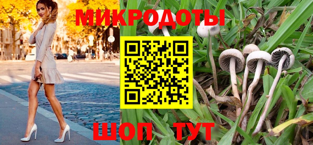 Галлюциногенные грибы мухоморы Вологда