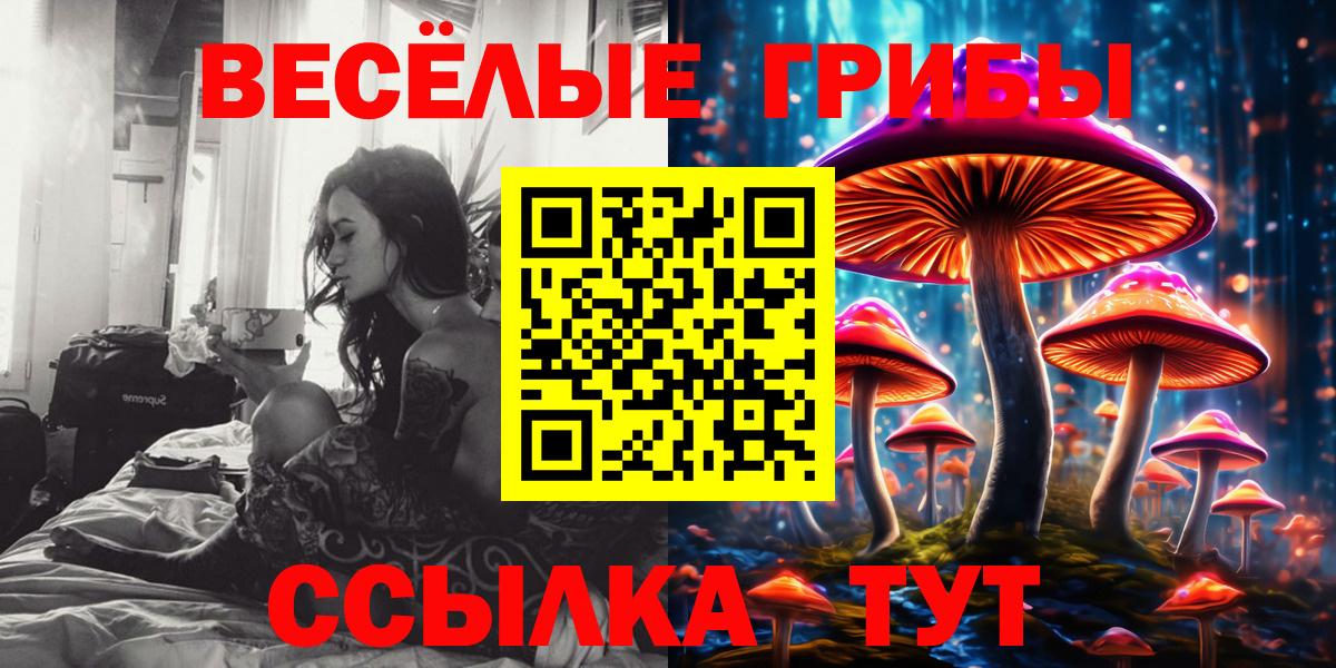 Псилоцибиновые грибы MAGIC MUSHROOMS  Вход с VPN  Вологда  Псилоцибиновые грибы Psilocybine cubensis 